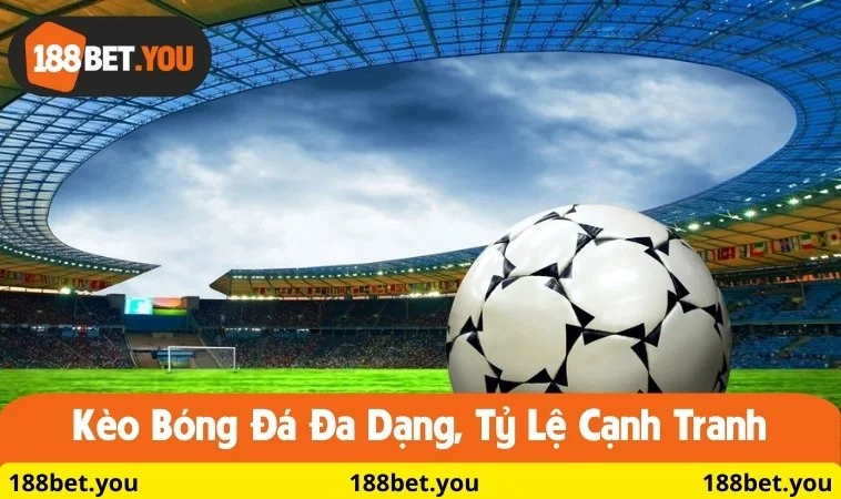 Theo dõi thể thao trực tiếp mỗi ngày